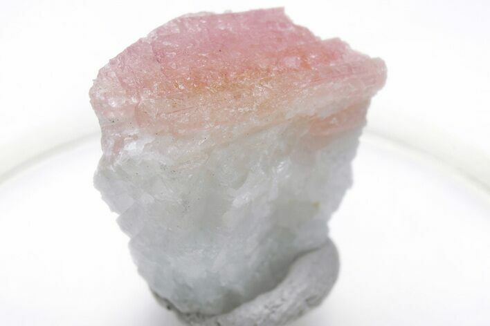 Pink Tourmaline (Rubellite) Crystal - Brazil #221602